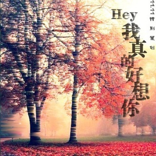 Hey,我真的好想你