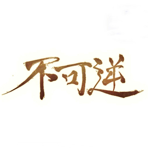 不可逆