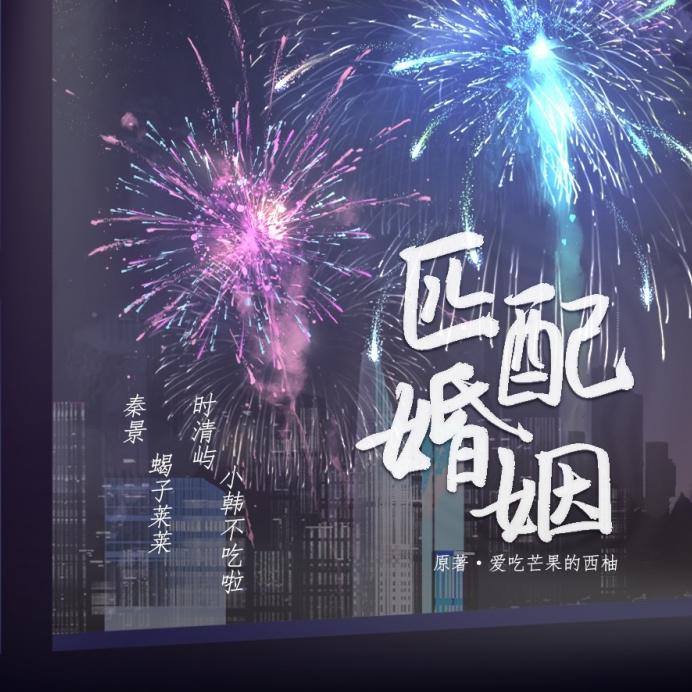 匹配婚姻