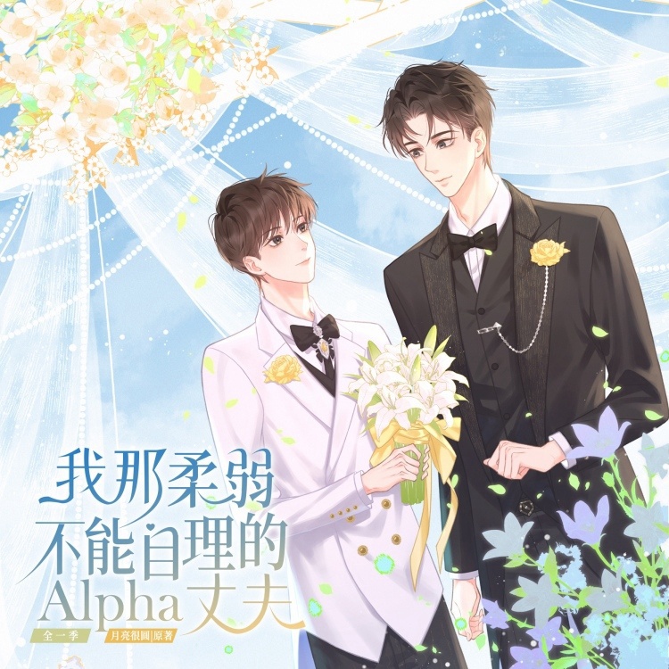 我那柔弱不能的Alpha丈夫