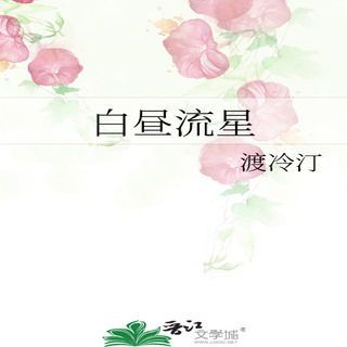 白昼流星
