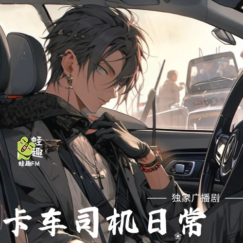 卡车司机日常