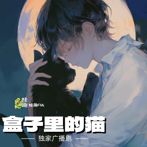 盒子里的猫