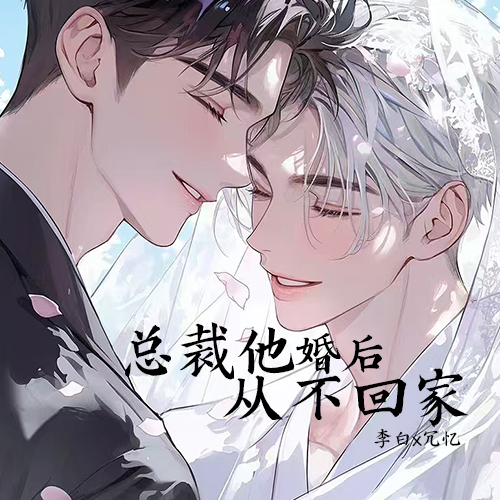 总裁他婚后从不回家