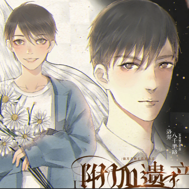 附加遗产