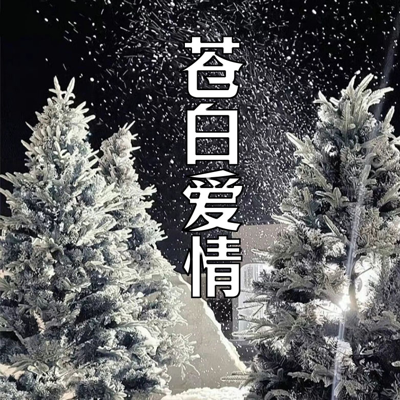 苍白爱情