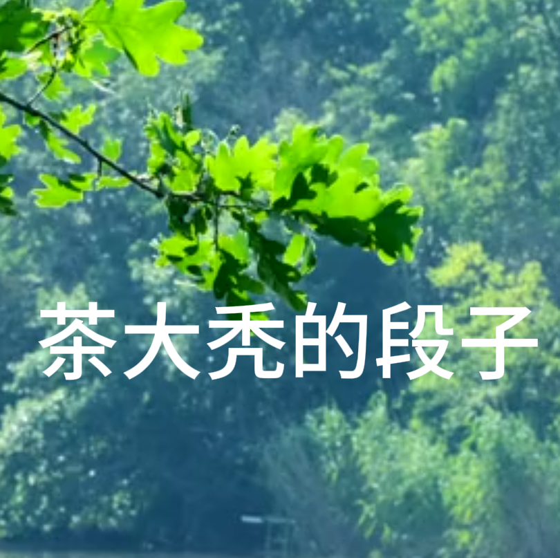 茶大秃的段子（短篇合集2）