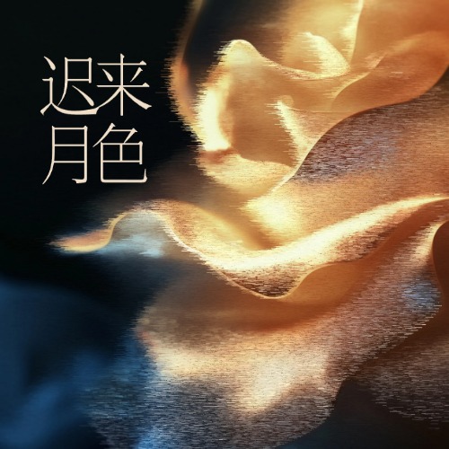 迟来月色
