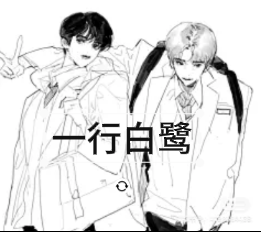 一行白鹭