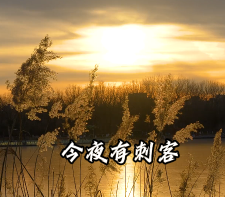 今夜有刺客
