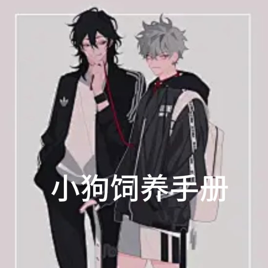 小狗饲养手册
