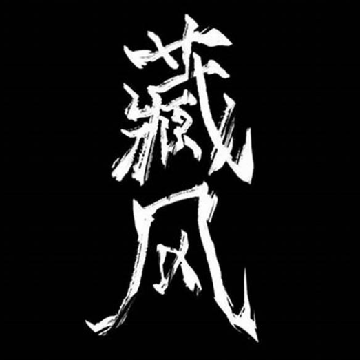 藏风