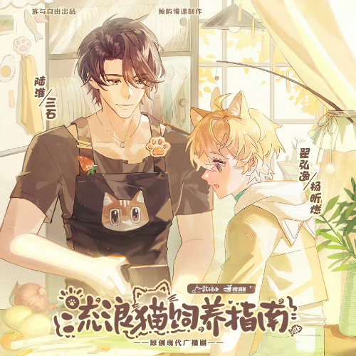 流浪猫饲养指南