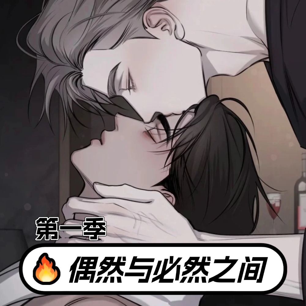 偶然和必然之间/巧合与必然（第一季）