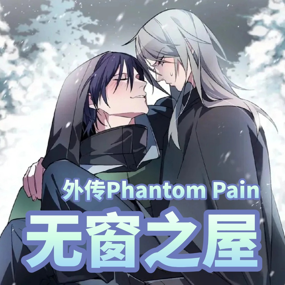无窗之屋 外传Phantom Pain