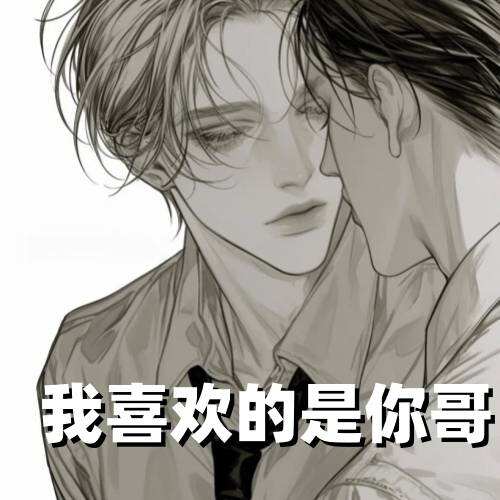 我喜欢的是你哥