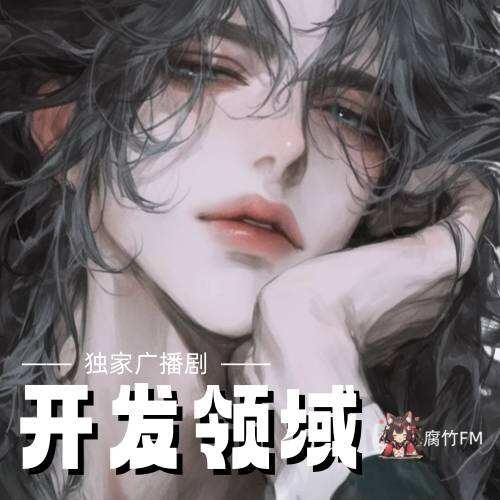 开发领域