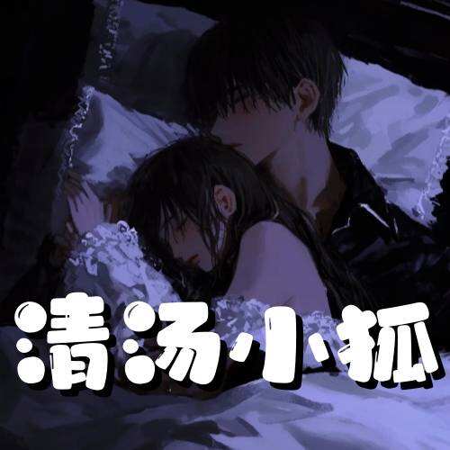 清汤小狐