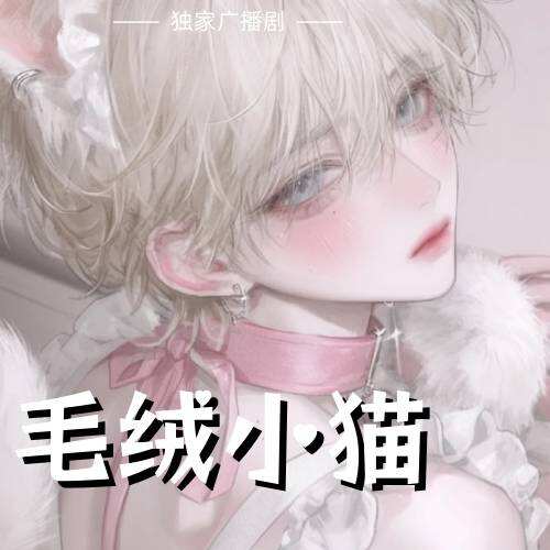 毛绒小猫